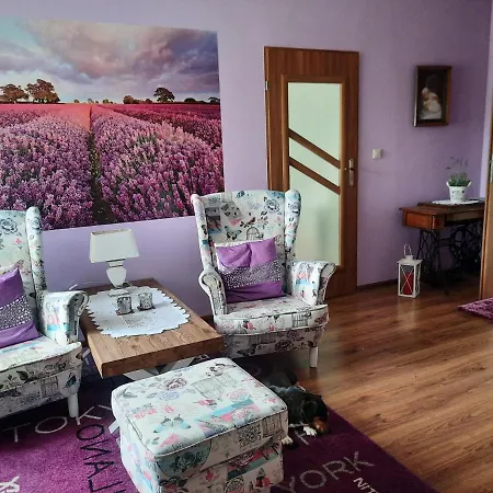 Kır Evi Dom Wakacyjny-czeresniowy Sad *