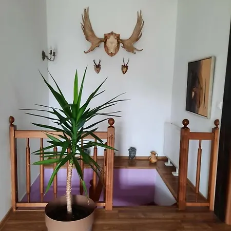 Country house Dom Wakacyjny-czeresniowy Sad